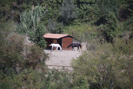 kl272