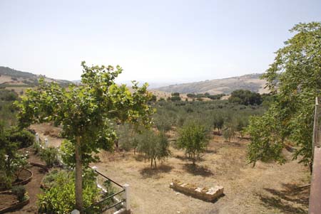 lt306